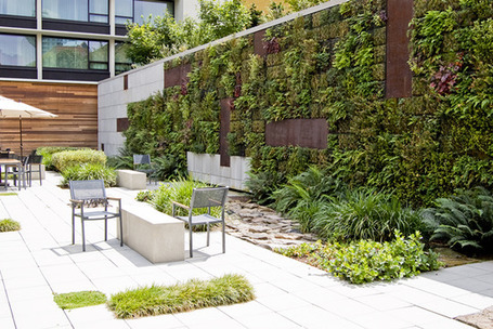 A Well-Designed Green&nbsp;Wall | MYD blog | sustainable architecture | Scoop.it