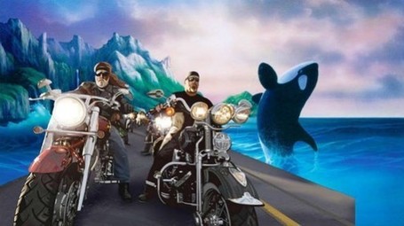 Bikers Want Freedom 4 Orcas - Ecorazzi | #Orca #Avenger Loki Mars | Scoop.it