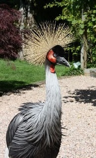 Stefal Poker Blog: Du turbo au turbot et payez-vous la t&ecirc;te de Titi avec Golden Palace | " POKER - All about " by GOLDENPALACE.be | Scoop.it