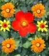 Think Draw - Create and Rate Pictures Online | Art Fun | Scoop.it