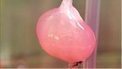 Scientists make 'lab-grown' kidney | Complex Insight  - Understanding our world | Scoop.it