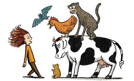 Why Cows and Bats Are Much More Deadly Than Tigers and Sharks | this curious life | Scoop.it
