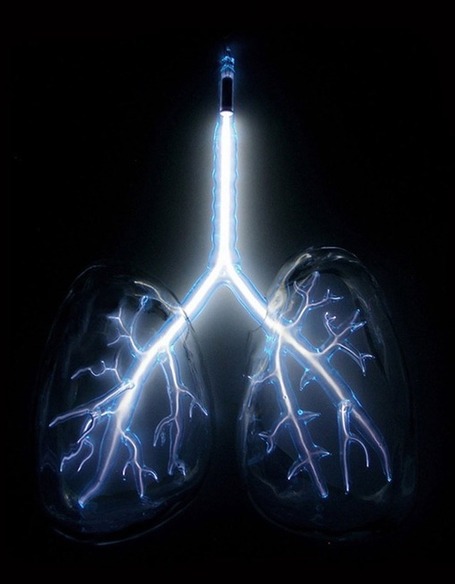 Electric Lungs by Jessica Lloyd Jones | Vulbus Incognita Magazine | Scoop.it