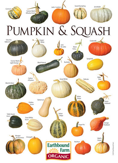MyScaryBlog.com: Time to Plant Pumpkins | Halloween | Scoop.it