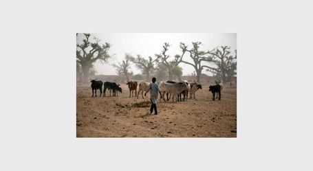 Soudan du Sud: une attaque de voleurs de b&eacute;tail 29 morts - RTBF | Afrique | Scoop.it