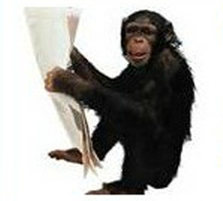 TwitChimp List Curation, Search And Discovery Features | Curation-Corner | Scoop.it