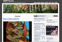 The UMW Blogs Story | bavatuesdays | Wordpress in Higher Education | Scoop.it