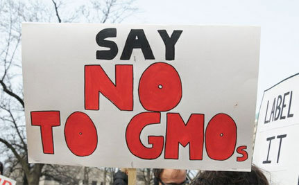 Success! 7th GE-Free Zone in British Columbia | Food issues | Scoop.it