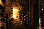 Tours du vin en Ombrie et Toscane - Tours du vin pr&egrave;s du Country House Marilena la Casella. | Images et infos du monde viticole | Scoop.it