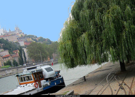 LYonenFrance.com: La revue de presse avec cette semaine RTL.fr, Futura sciences, Mag2Lyon, Lyon capitale, et LYon-Agenda.com | LYonenFrance | Scoop.it