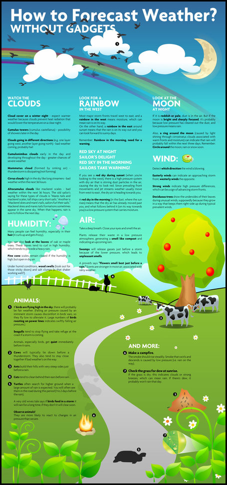 How can I use Infographics in the Classroom? | Reflections from a Life Lived | Scoop.it