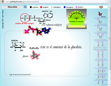 Animaciones de biolog&iacute;a celular.- | Banco de Aulas | Scoop.it