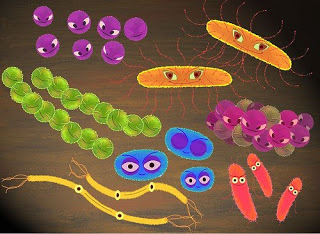 Resultado de imagen para agentes biologicos bacteria