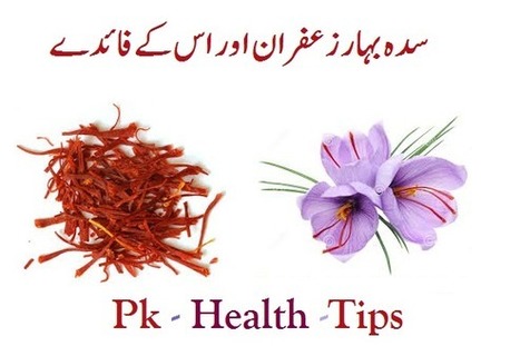 what is the stomach cancer