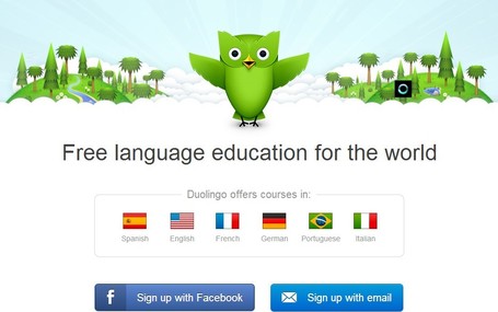 Screenshot of Duolingo Website