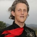 Grandin on the autism surge | Mental Wellbeing | Scoop.it