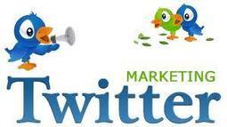 Twitter Marketing Software That Will Drive Traffic | Social Media Marketing Magic | Scoop.it