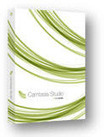 Camtasia Audio Tip &ndash; Record in 3&rsquo;s | SteveB's Social Learning Scoop | Scoop.it