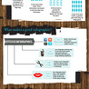 Social Media Visuals & Infographics