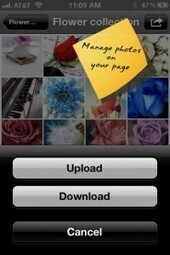 PhotoBox! Pro - Making Photo Management Easy on Facebook! | Being Social Us | Scoop.it