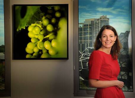 Harvesting the years of sunshine | Vitabella Wine Daily Gossip | Scoop.it