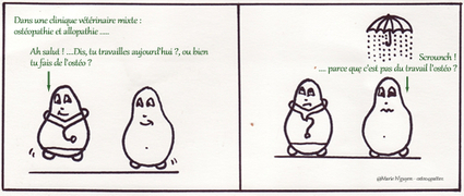 L'Ost&eacute;o4pattes : N&deg; 24 - Printemps 2012 | Site de l'ost&eacute;opathie | Scoop.it