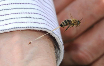 The Top 50 &lsquo;Pictures of the Day&rsquo; for&nbsp;2012 | Business Protocol | Scoop.it