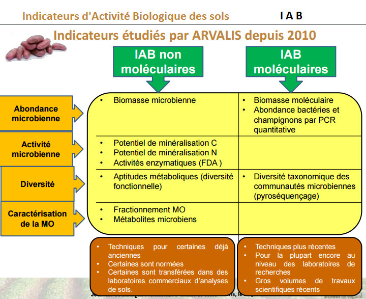 Les Indicateurs D Activit Biologique De