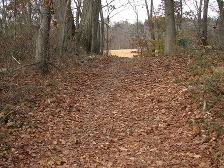 Toward the Plastic-free Garden | 100 Acre Wood | Scoop.it