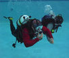Dive Care teams with American Legion - Tampa Bay Newspapers | ScubaObsessed | Scoop.it