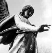 10 sites de photos gratuites et libres de droits | Community management - m&eacute;dias sociaux | Scoop.it