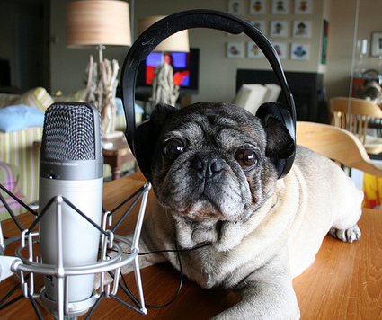 25 BBC Podcasts for Advanced English Learners | Web 2.0 Tools in the EFL Classroom | Scoop.it