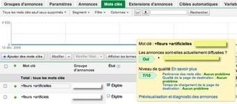 Niveau de qualit&eacute; / Quality Score : plus de transparence pour plus d'efficacit&eacute; | Google Adwords News | Scoop.it