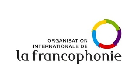 Appel : charg&eacute; du d&eacute;veloppement num&eacute;rique d&rsquo;un &eacute;diteur camerounais | opoto | Scoop.it
