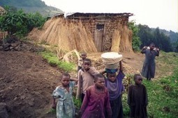 The Link Between Conservation and Global Poverty | The Glory of the Garden | Scoop.it