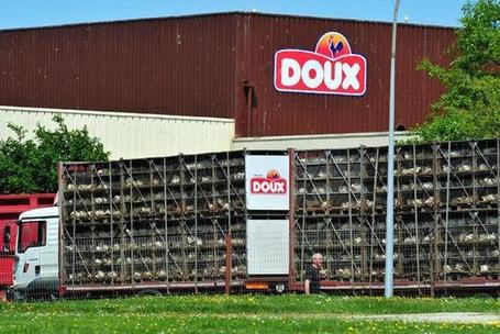 St&eacute;phane Le Foll au chevet des &eacute;leveurs de Doux. | agro-media.fr | agro-media.fr | actualit&eacute; agroalimentaire | Scoop.it