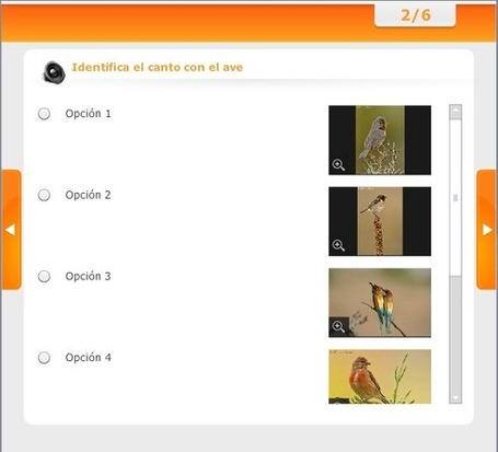 Novedades gr&aacute;ficas en los test educaplay | Recursos i Eines | Scoop.it