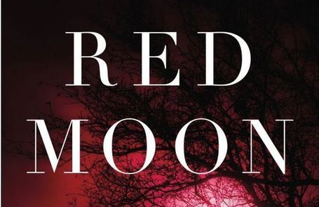 20 Highbrow Books to Read on the Beach This Summer | Read Ye, Read Ye | Scoop.it