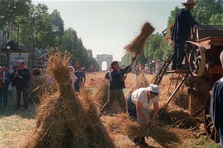 1990 - La Grande Moisson des Champs Elys&eacute;es | Paris Unplugged | Scoop.it