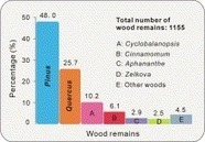 Did alder (Alnus) fires trigger rice cultivation in the lower reaches of the Yangtze River, East China? | Rice origins and cultural history | Scoop.it