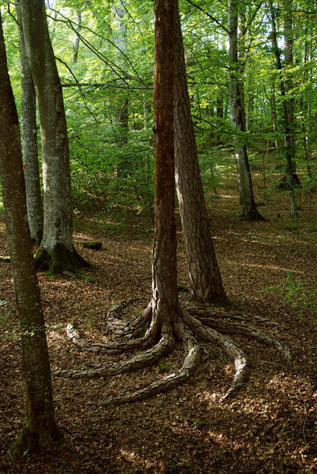 21 Unforgettable Examples of Land Art - My Modern Metropolis | The Integral Landscape Caf&eacute; | Scoop.it