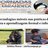 Mlearning - Tecnologias moveis