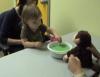 Giving makes young children happy | jessography | Scoop.it