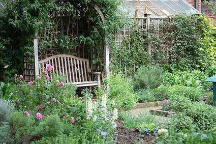Herb Garden Design Plans