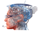 Ten Critical Components That Guarantee Learning Will Stick | Teaching in the XXI century | Scoop.it