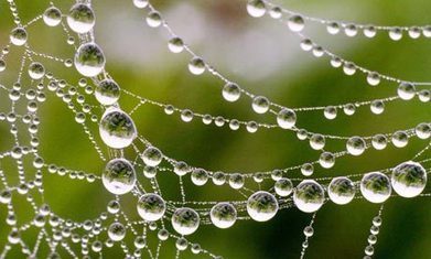 Eco-spirituality: towards a values-based economic structure | Corporate Social Responsibility, CSR, Sustainability, SocioEconomic, Community | Scoop.it