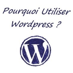 Pourquoi utiliser wordpress ? - WP Site Pro | Vous saurez tous sur wordpress ou presque... | Scoop.it