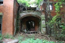 Cette petite île abandonnée en plein New York ! | Toitures végétales & Biodiversité urbaine