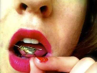 Insects Are Tasty &mdash; But Eating Them Is Not Going To Solve World Hunger | AP HUMAN GEOGRAPHY DIGITAL  TEXTBOOK: MIKE BUSARELLO | Scoop.it