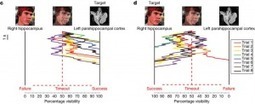 Can the brain control&nbsp;itself? | Knowmads, Infocology of the future | Scoop.it